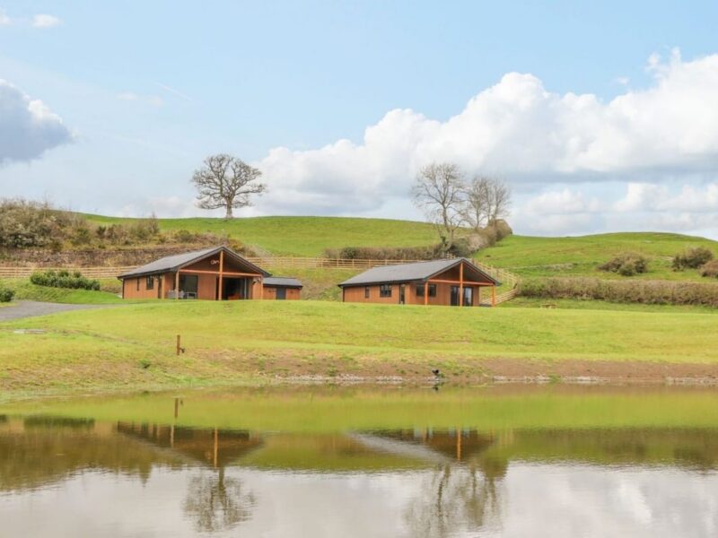 Two completed timber-clad holiday lodges set in fields above a lake